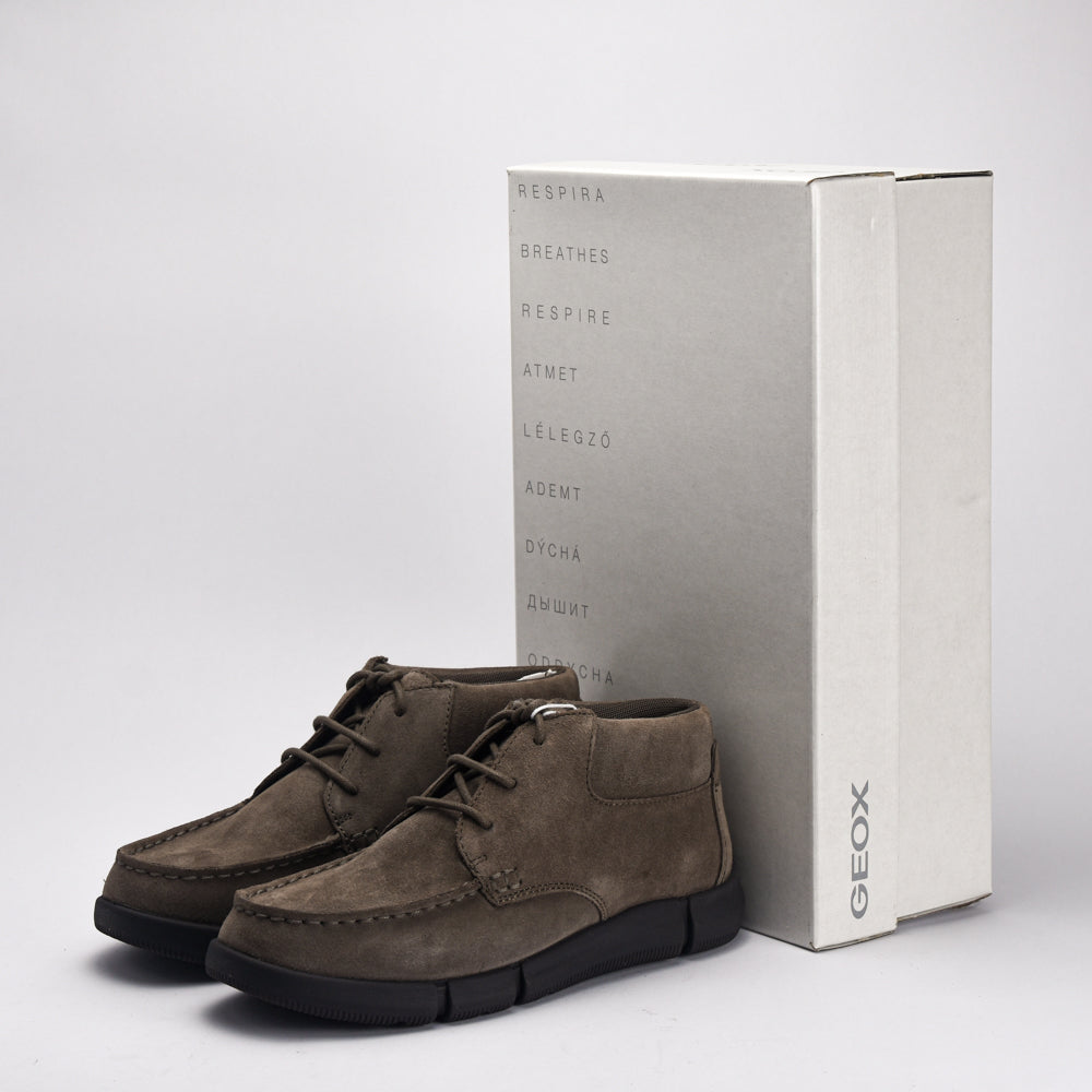 Geox - Adacter Suede